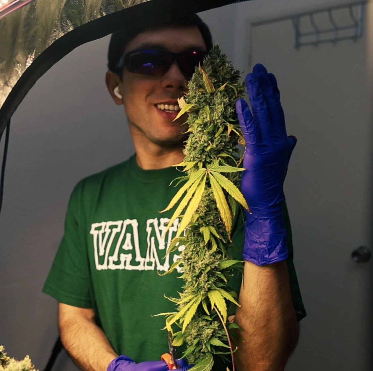 Curso Para Cultivar Cannabis Online