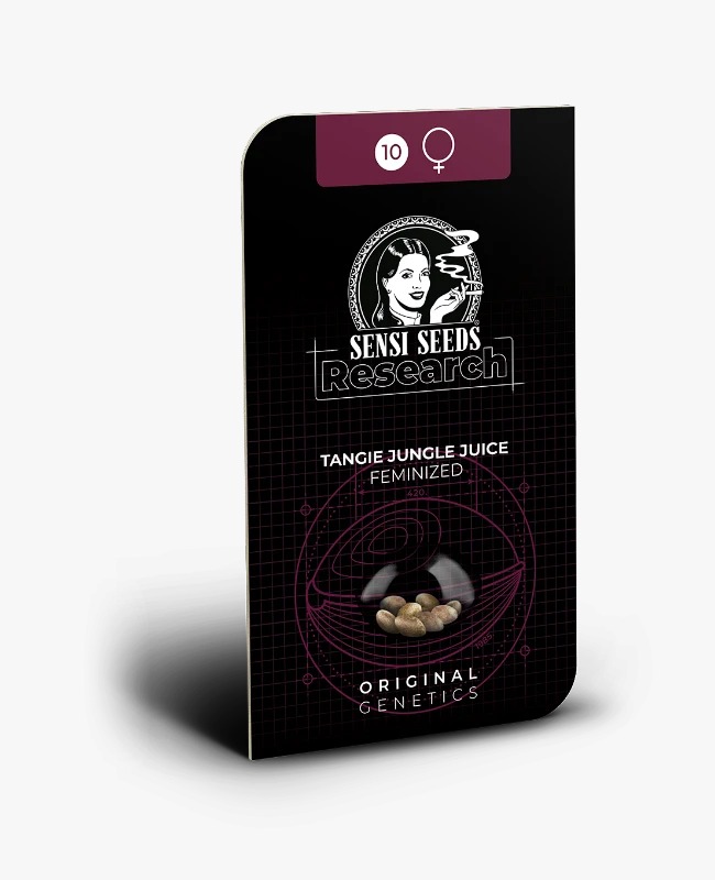 Semillas de Tangie Jungle Juice Feminizadas 3+1
