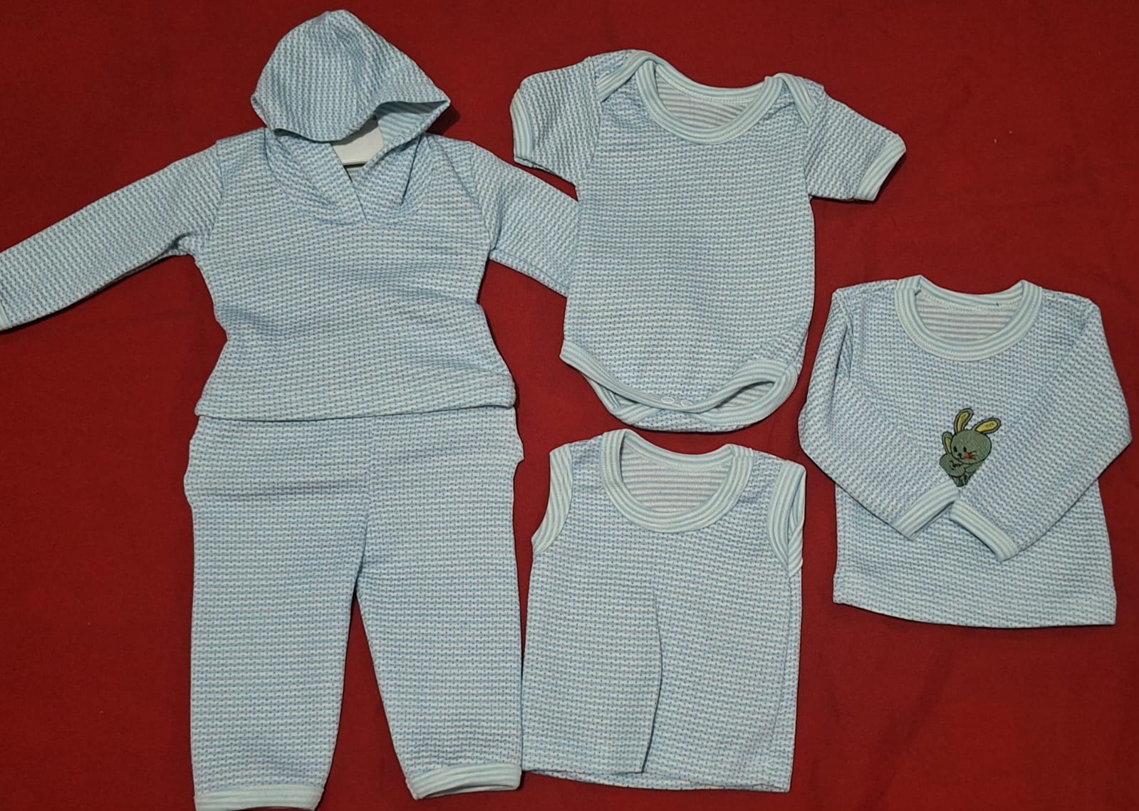 SET 5 PZAS ANIMALITOS