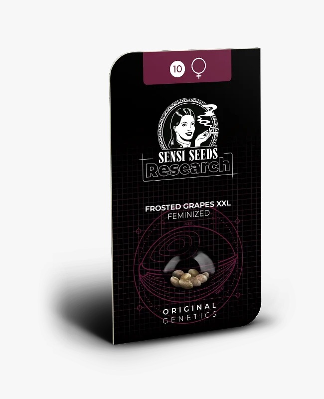 Semillas de Frosted Grapes XXL Feminizadas 3+1