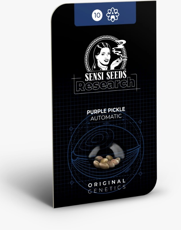 Semillas de Purple Pickle Autoflorecientes 3+1